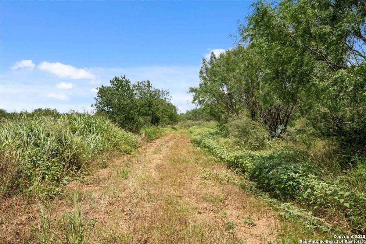 Jourdanton, TX 78026,00 CR 304