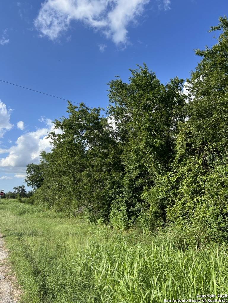Paige, TX 78659,TBD, N. Main St.