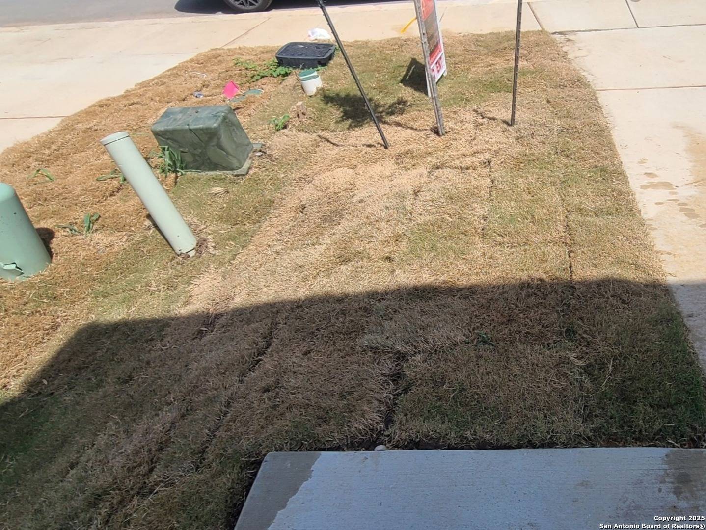 Converse, TX 78109,4965 Daisy Blossom