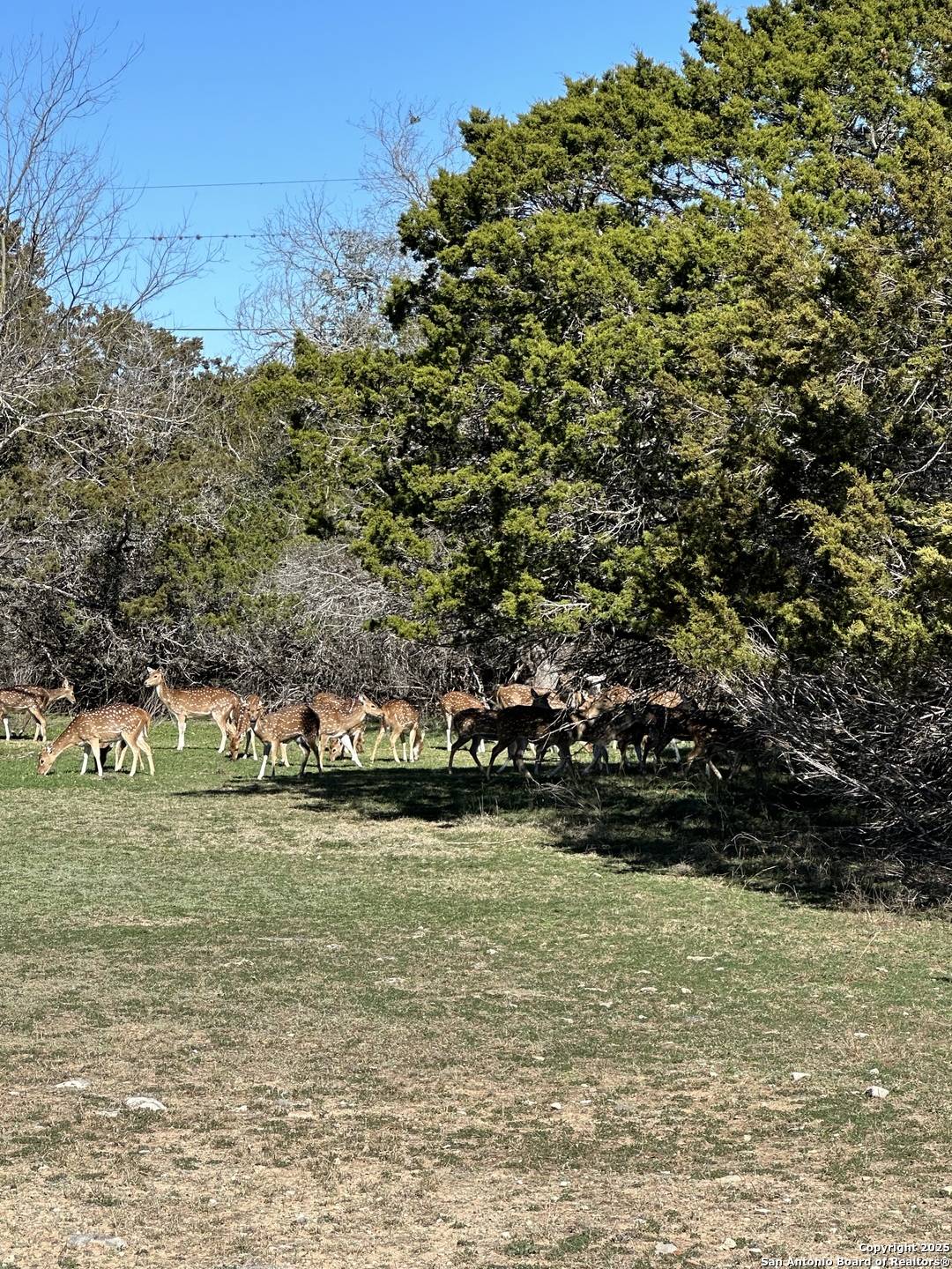 Bandera, TX 78003,0 deerwood circle