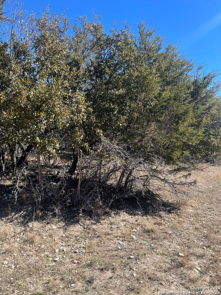 Bandera, TX 78003,LOT #12 Enchanted River Dr.