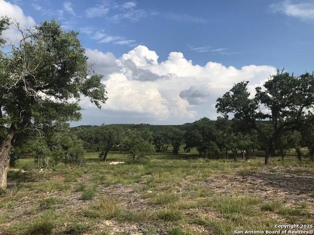 Boerne, TX 78006,11753 Barreal