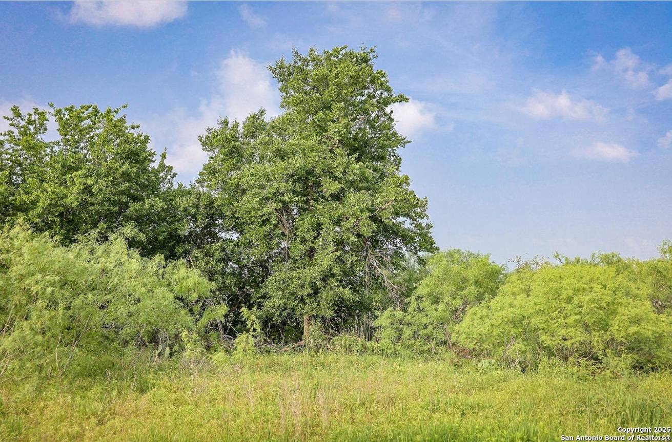 Rogers, TX 76569,000 000