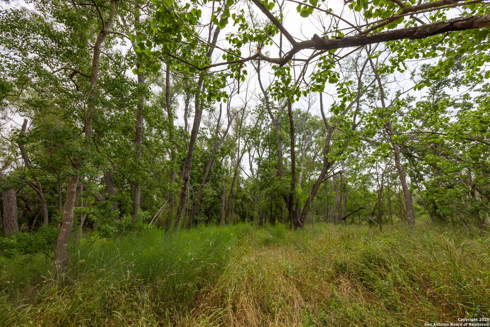 Atascosa, TX 78002,TRACT 2 Shepherd Road