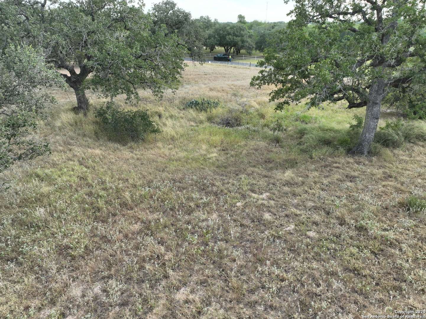 Pleasanton, TX 78064,TBD Broom Rd
