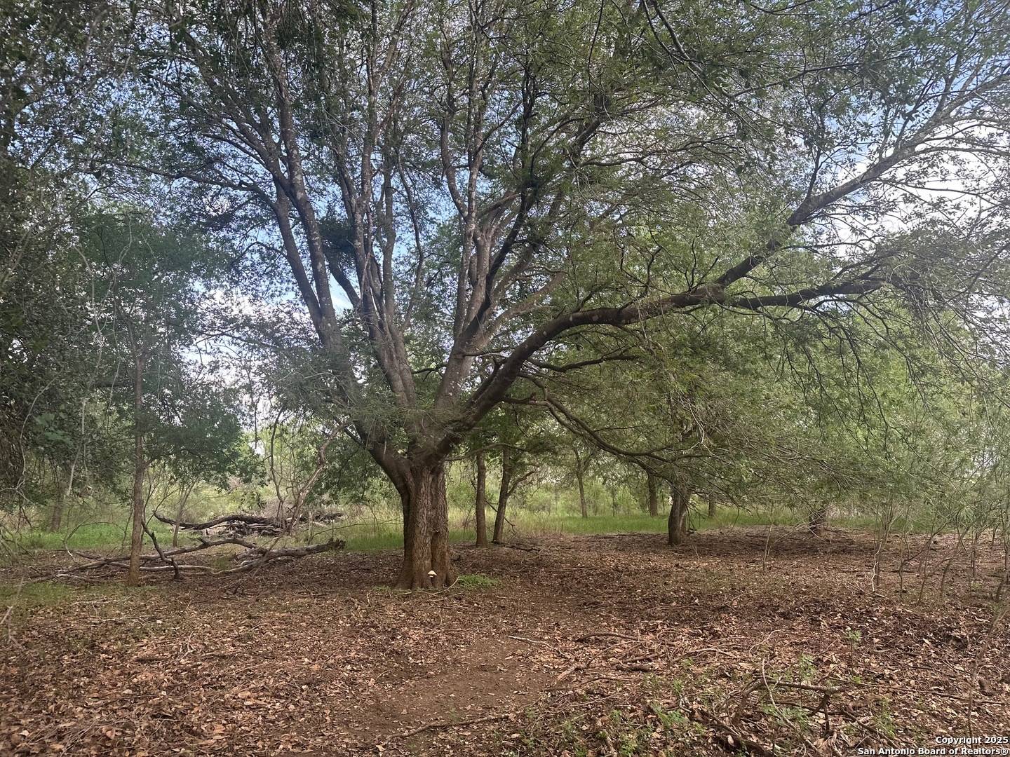 Poteet, TX 78065,5440 Tabberer