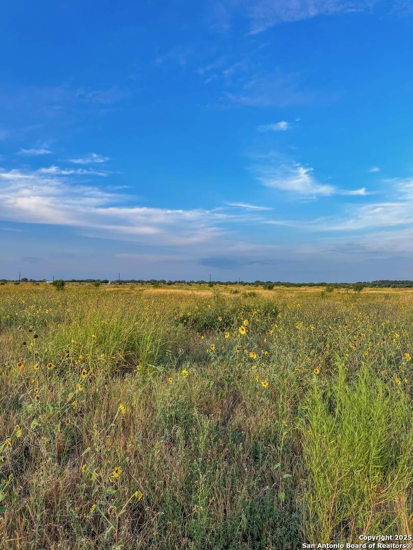 Dhanis, TX 78850,2541 County Road 512