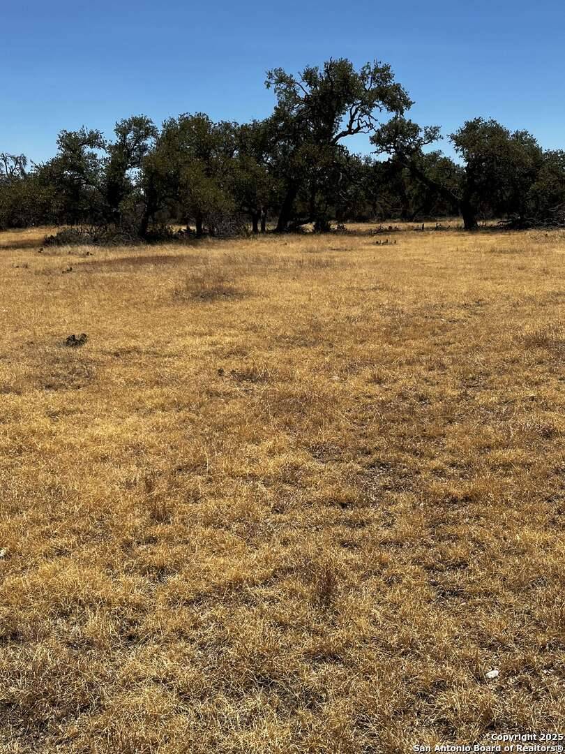 Harper, TX 78631,LOT 85 Stock Pond Dr.