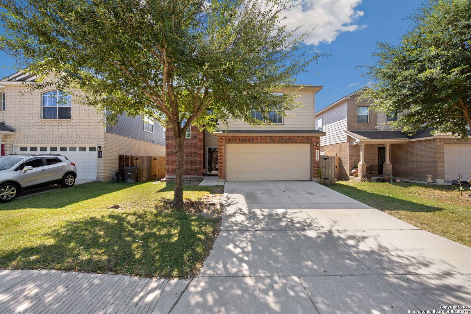 Helotes, TX 78023,11030 Chicory