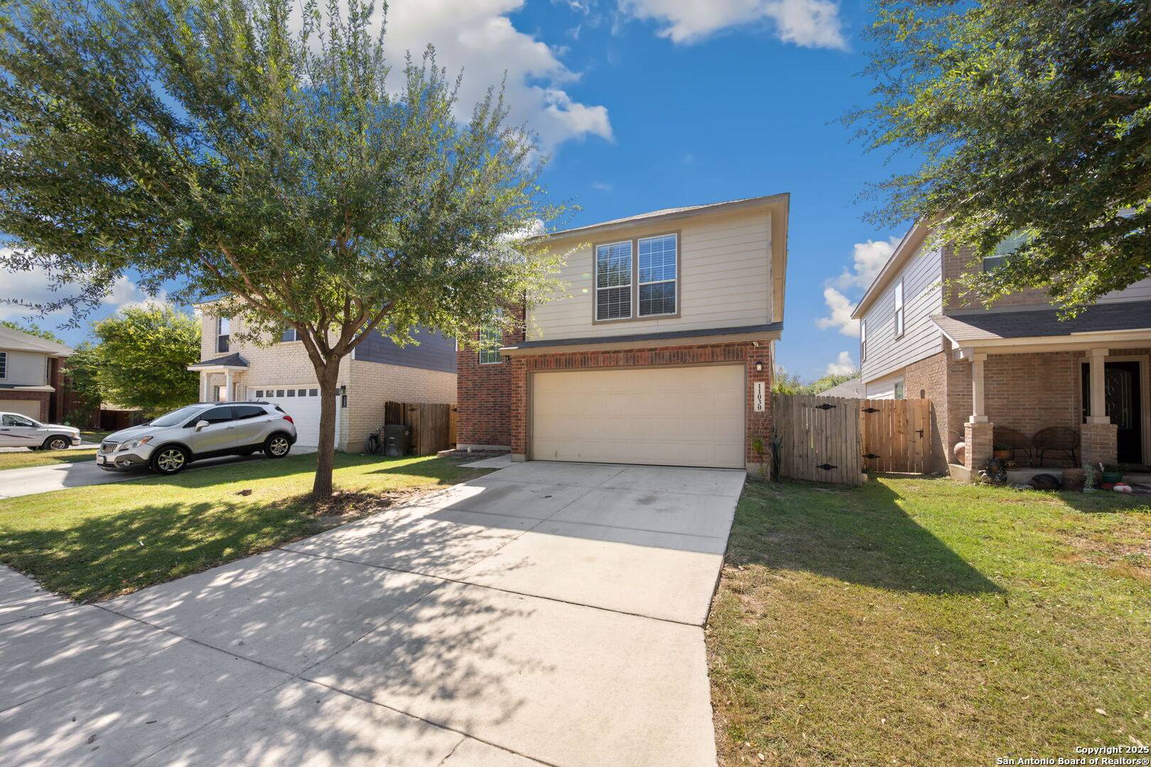 Helotes, TX 78023,11030 Chicory