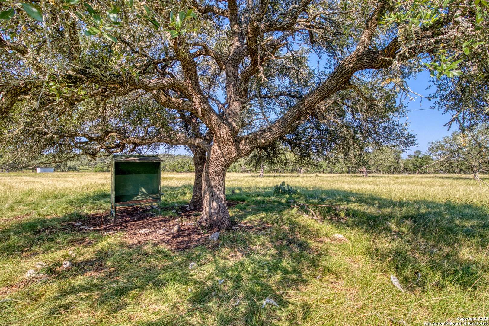 Kerrville, TX 78028,181 Colinas