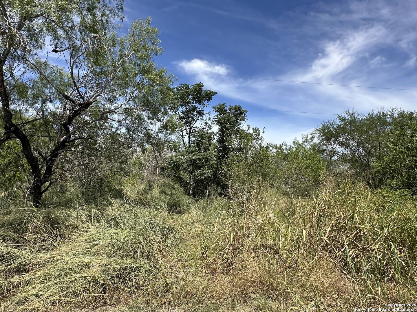 Elmendorf, TX 78112,000 CR 163