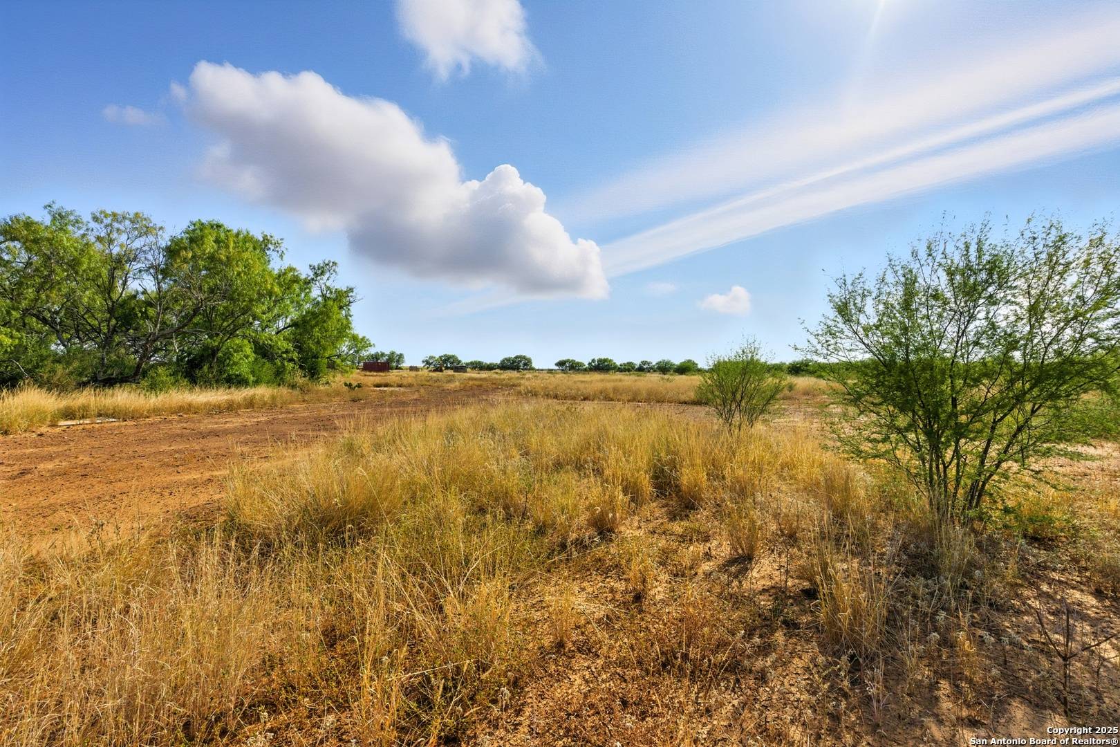 Floresville, TX 78114,723 County Road 106