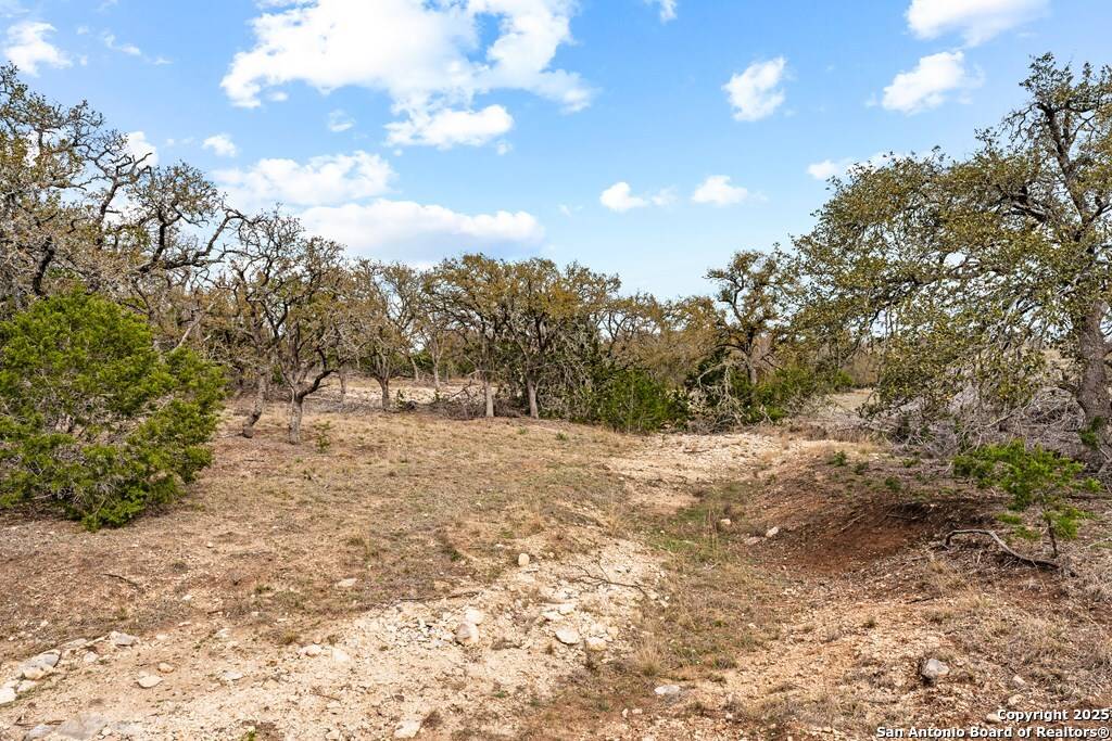 Mountain Home, TX 78058,LOT 42 Brooklyn