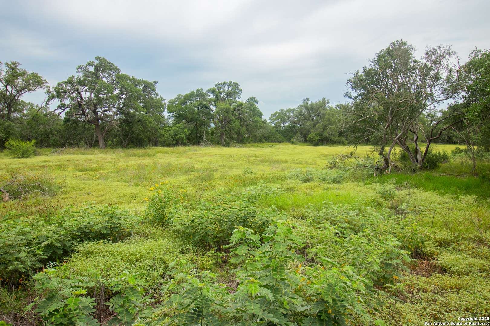 Spring Branch, TX 78070,000 Wise Oak acres