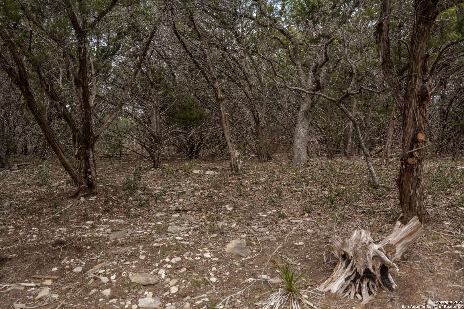 Spring Branch, TX 78070,000 Chad Way