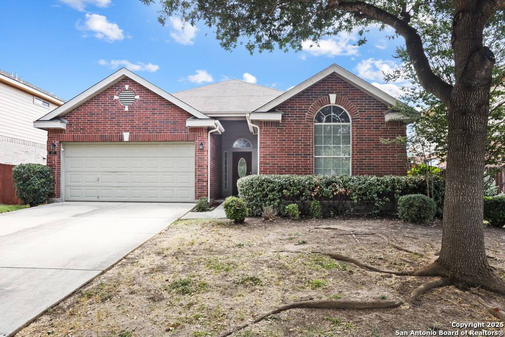Cibolo, TX 78108,157 Crimson Tree