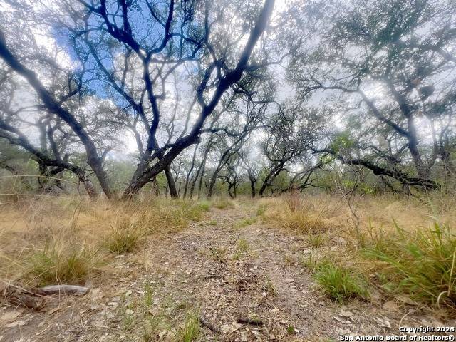 Natalia, TX 78059,TBD County Road 6813