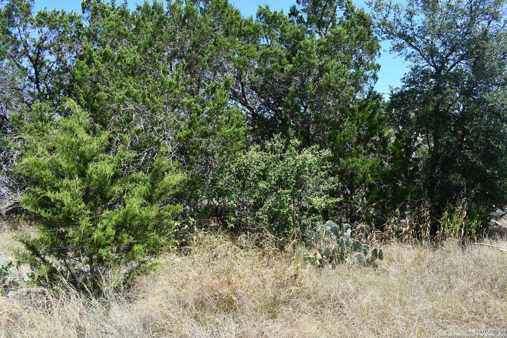 Spring Branch, TX 78070,0 Tbd