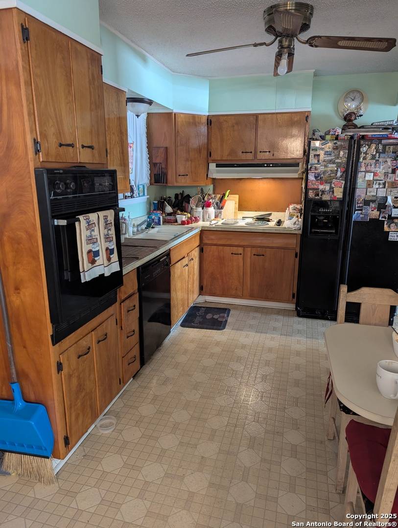 San Antonio, TX 78223,359 Kate Schenck