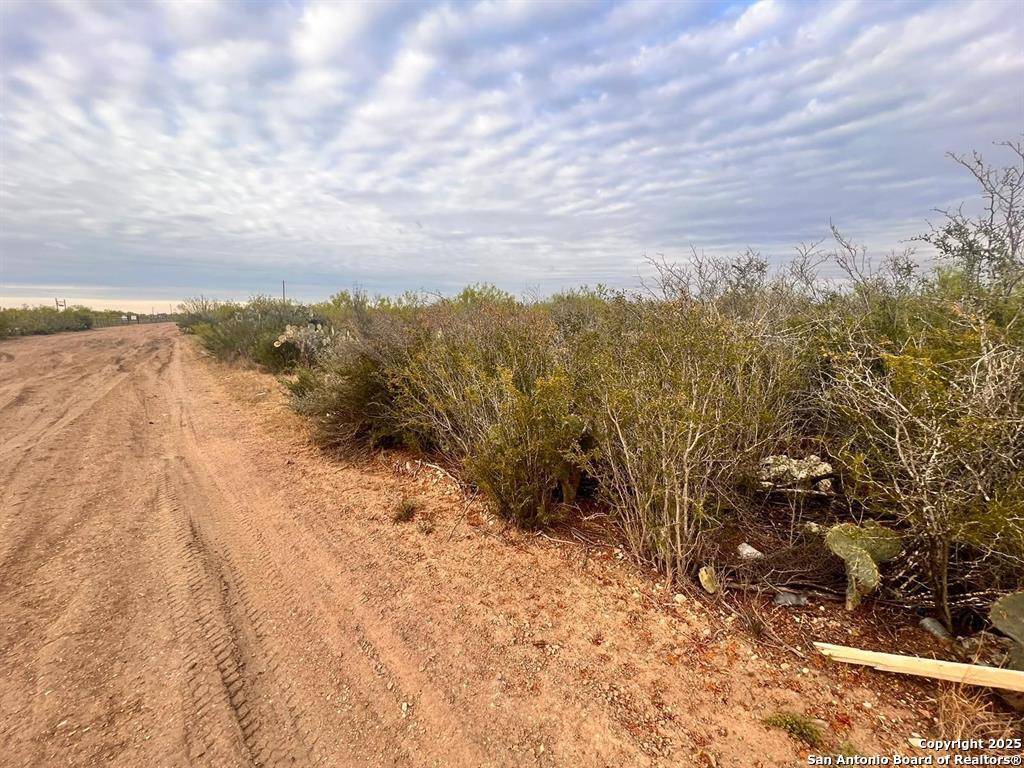 Laredo, TX 78043,TRACT 17 Las Pilas Rd
