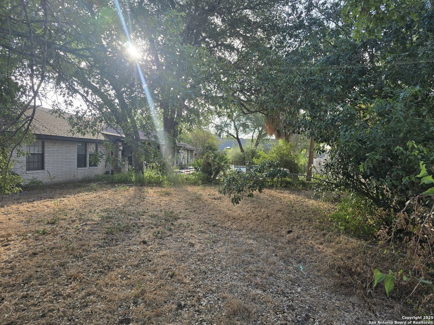 San Antonio, TX 78244,6207 pine needles