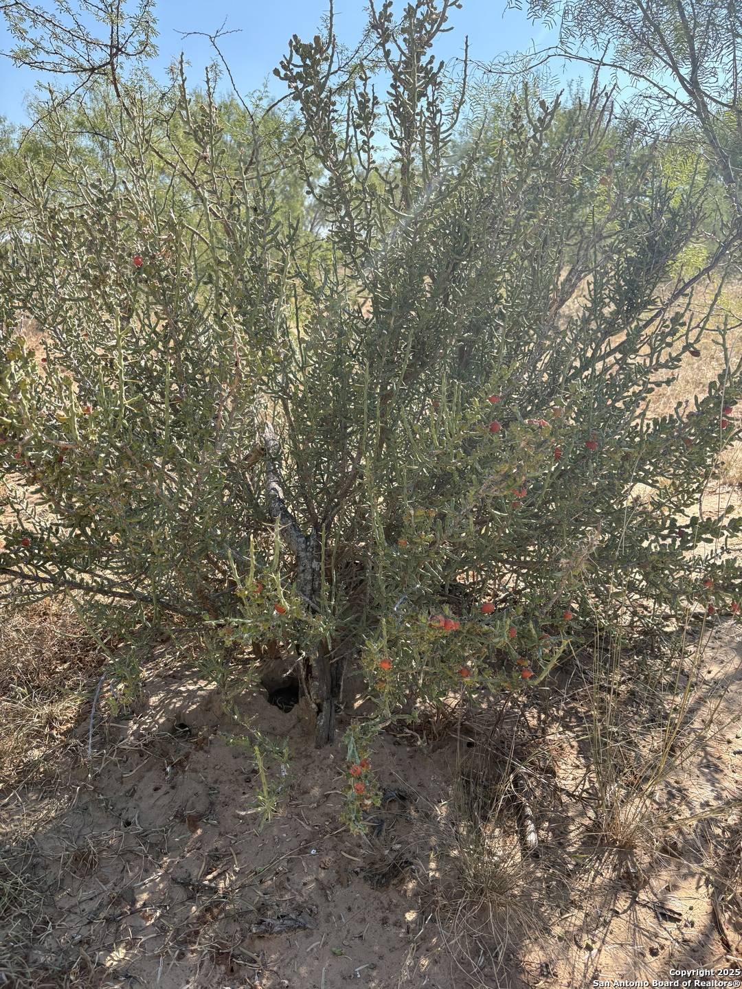 Yancey, TX 78886,TBD County Road 741