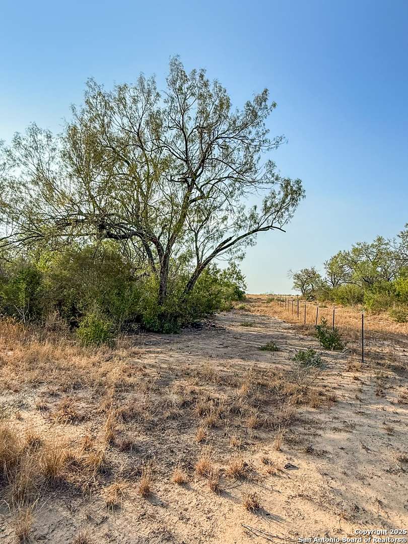 Jourdanton, TX 78026,6870 County Road 329 (TRACT 2-5)