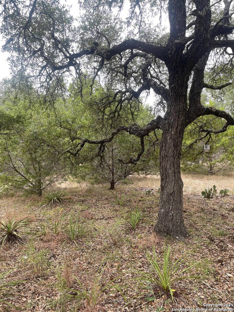Canyon Lake, TX 78133,681 Canyon Circle