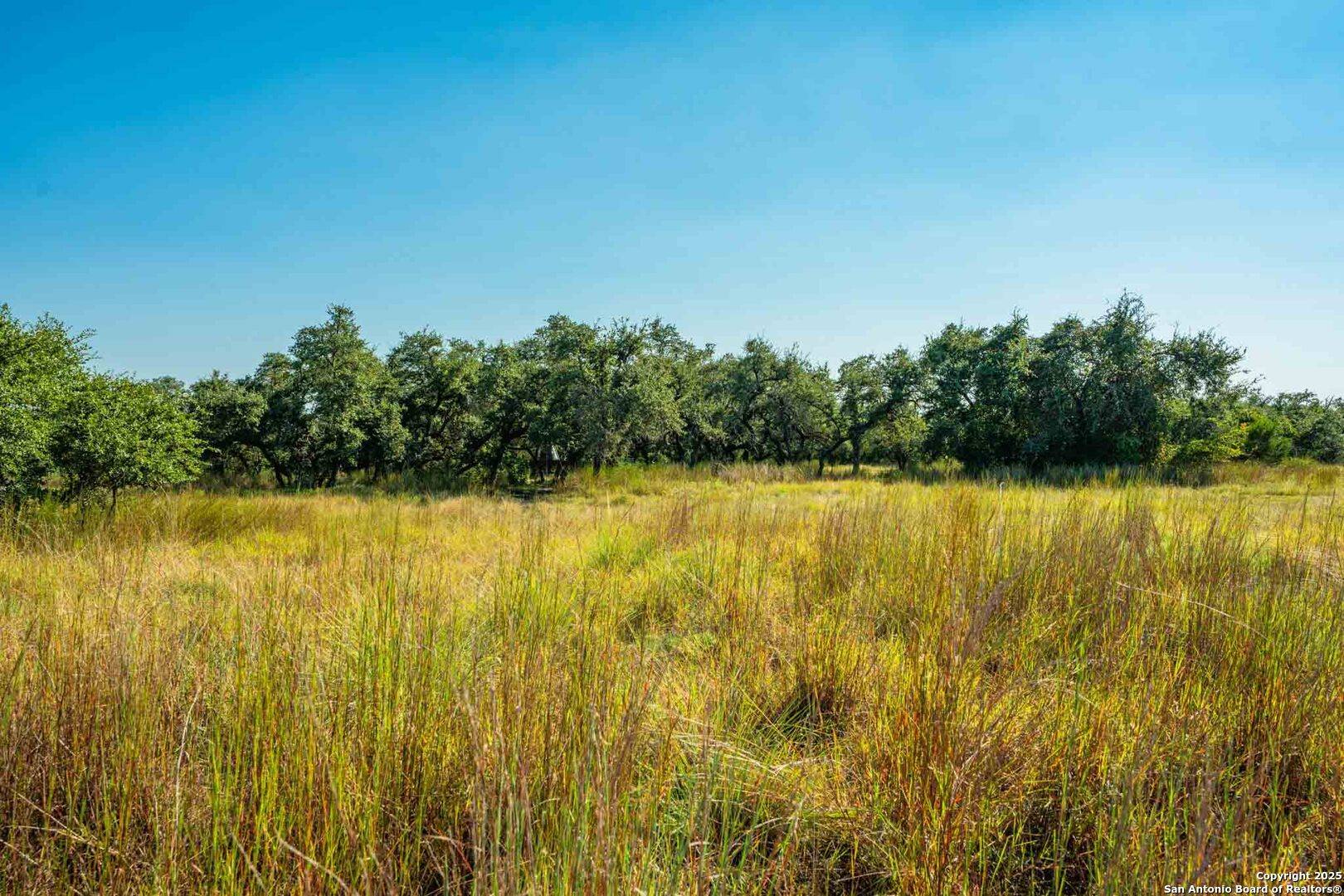 Blanco, TX 78606,147 gray wolf