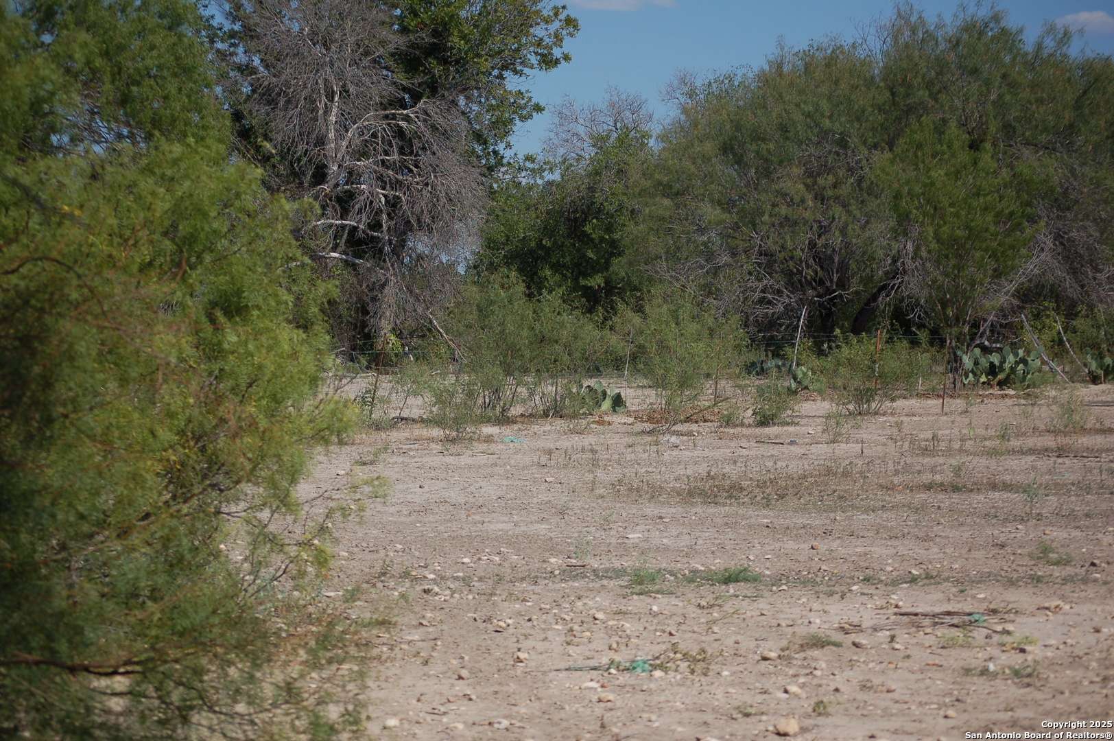 Batesville, TX 78829,493 S Park Ln