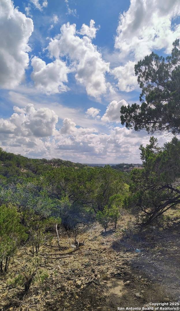 Bandera, TX 78003,181 Deer Run