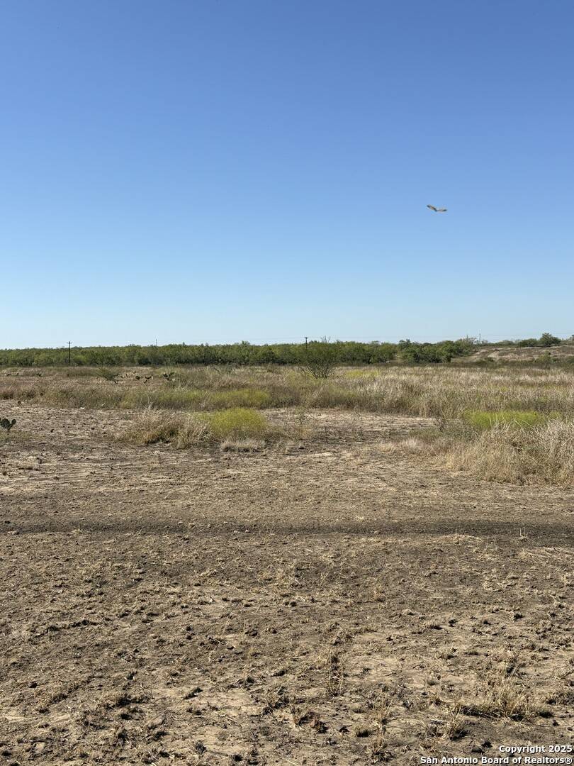 Charlotte, TX 78011,1446 County Road 332