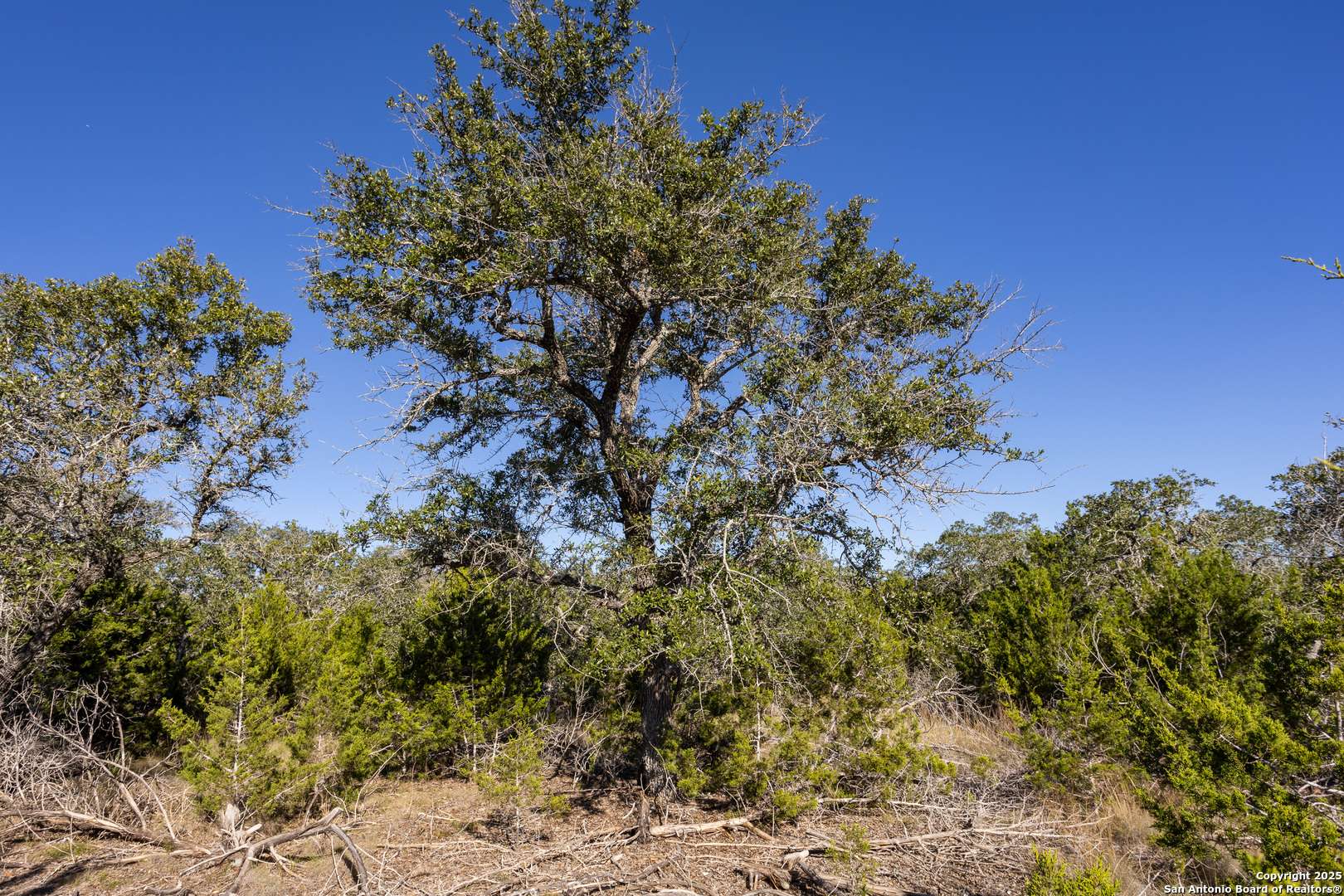 Boerne, TX 78006,BLOCK 1, LOT 10 Fortunate Son