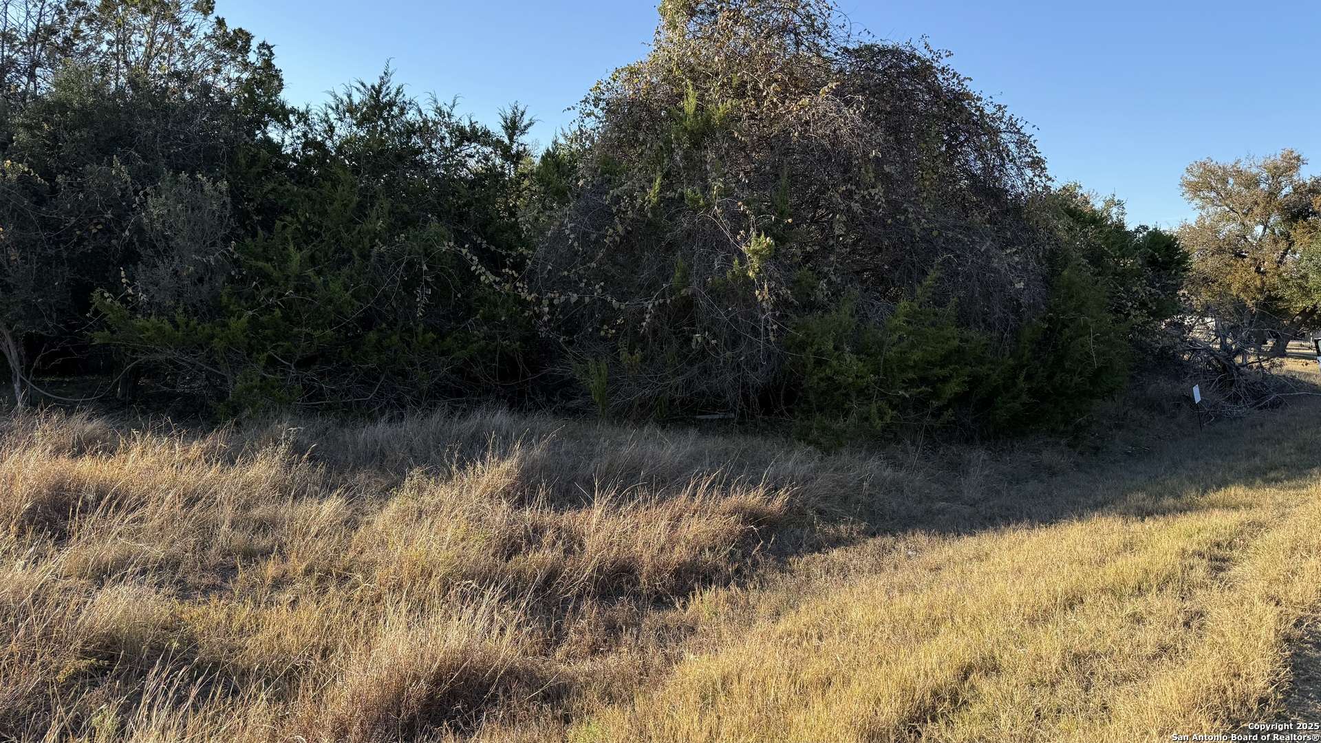 Spring Branch, TX 78070,737 Long Meadow