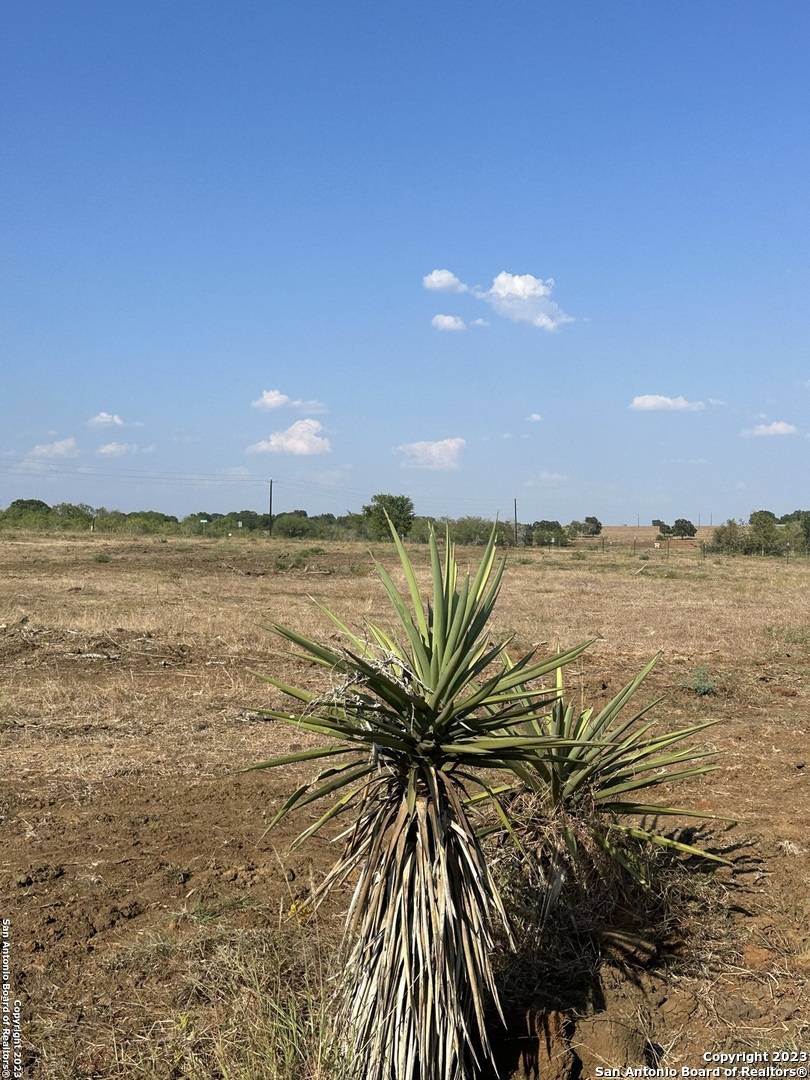 Stockdale, TX 78160,5894 Fm 1107 Unit A-Tract 2