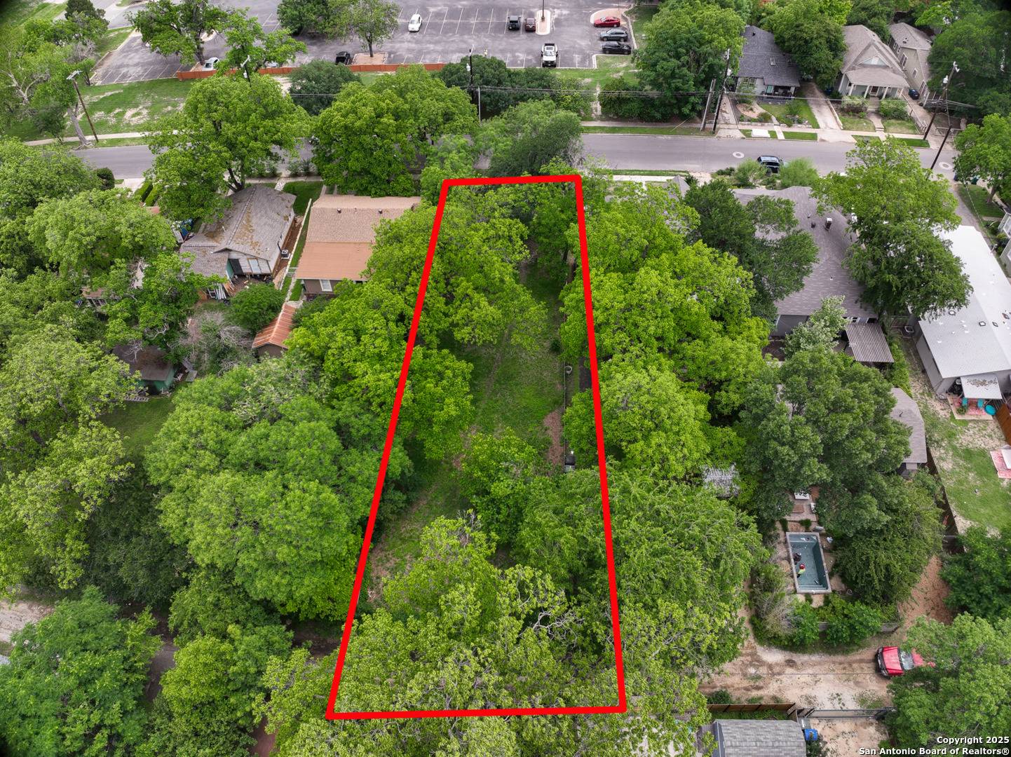 San Antonio, TX 78212,539 Huisache