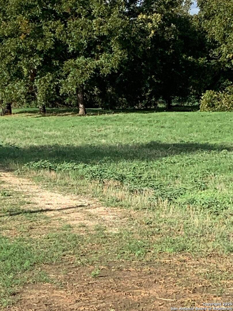 Seguin, TX 78155,263 Krams Creek