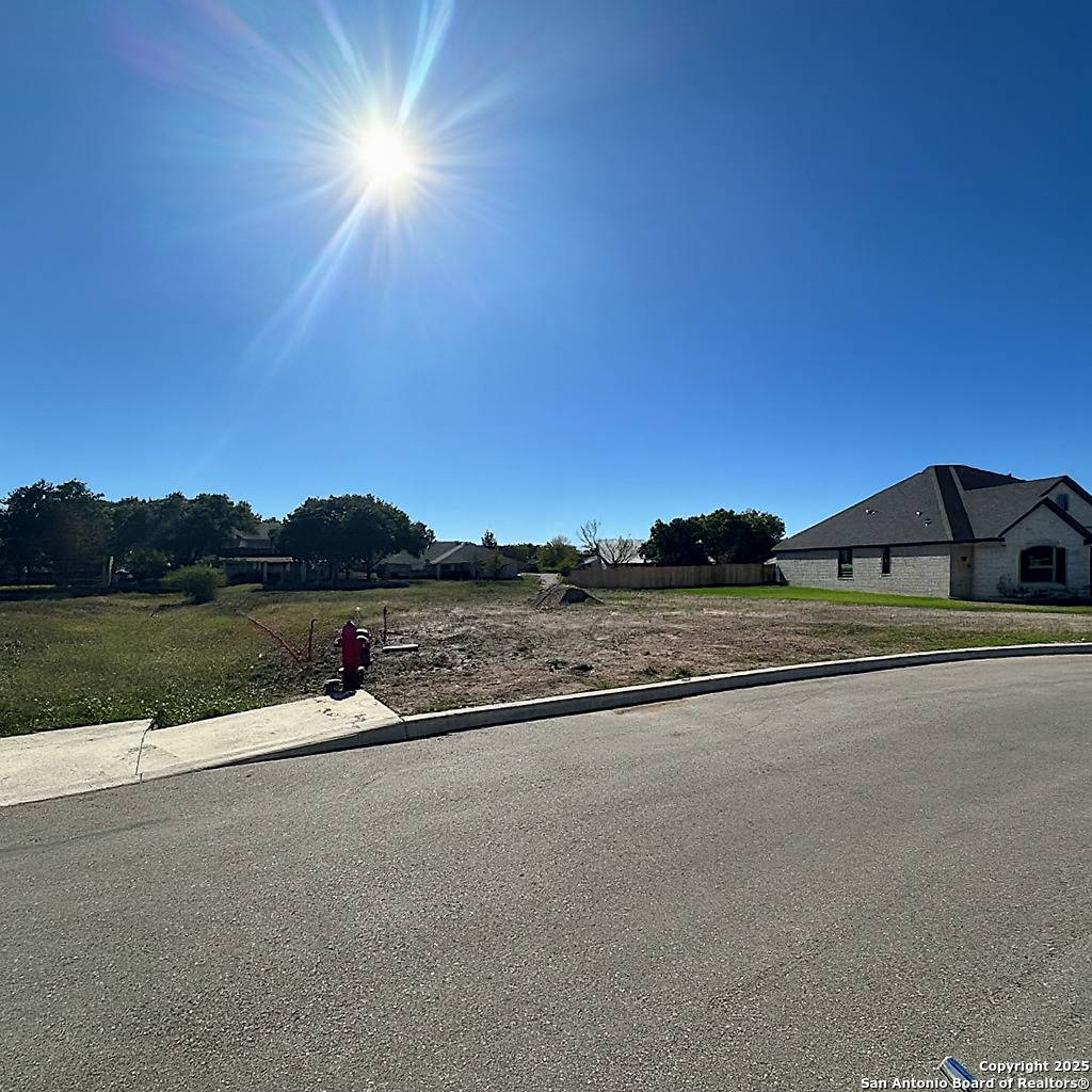 Castroville, TX 78009,183 Janice Avenue