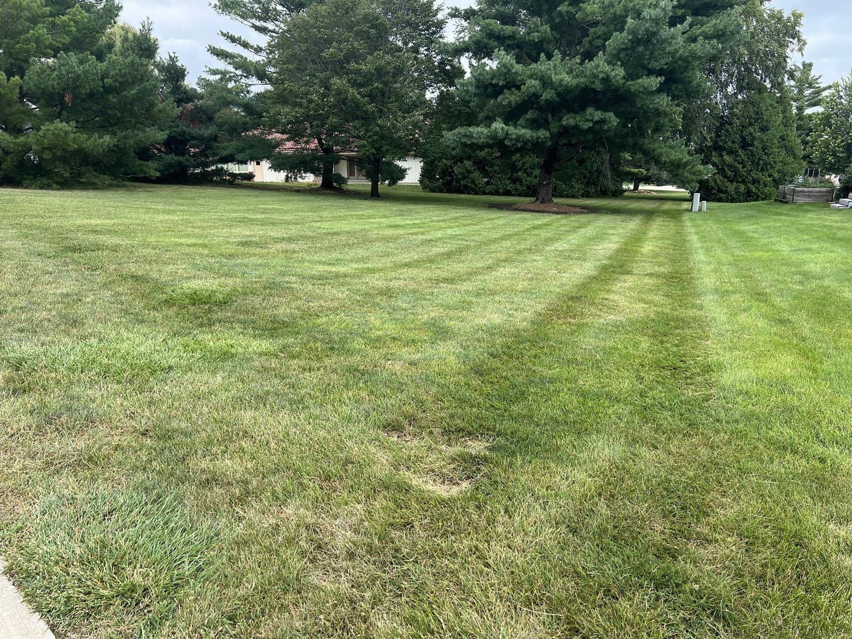 Reinbeck, IA 50669,000000 Eastgate Dr.