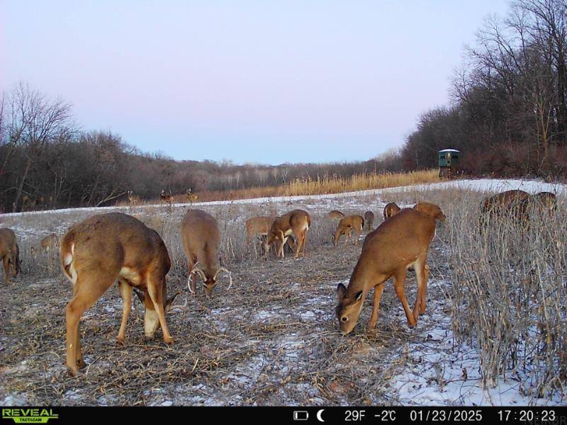 Volga, IA 52077,0000 Domino RD