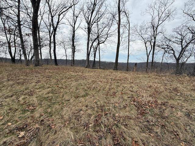 Lansing, IA 52151,Lot 4 Majestic Heights Lane