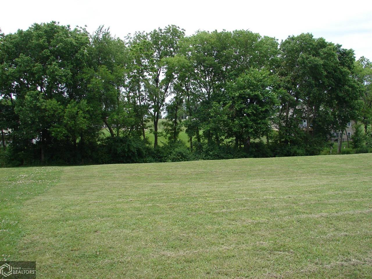 Mount Pleasant, IA 52641,907 S William St