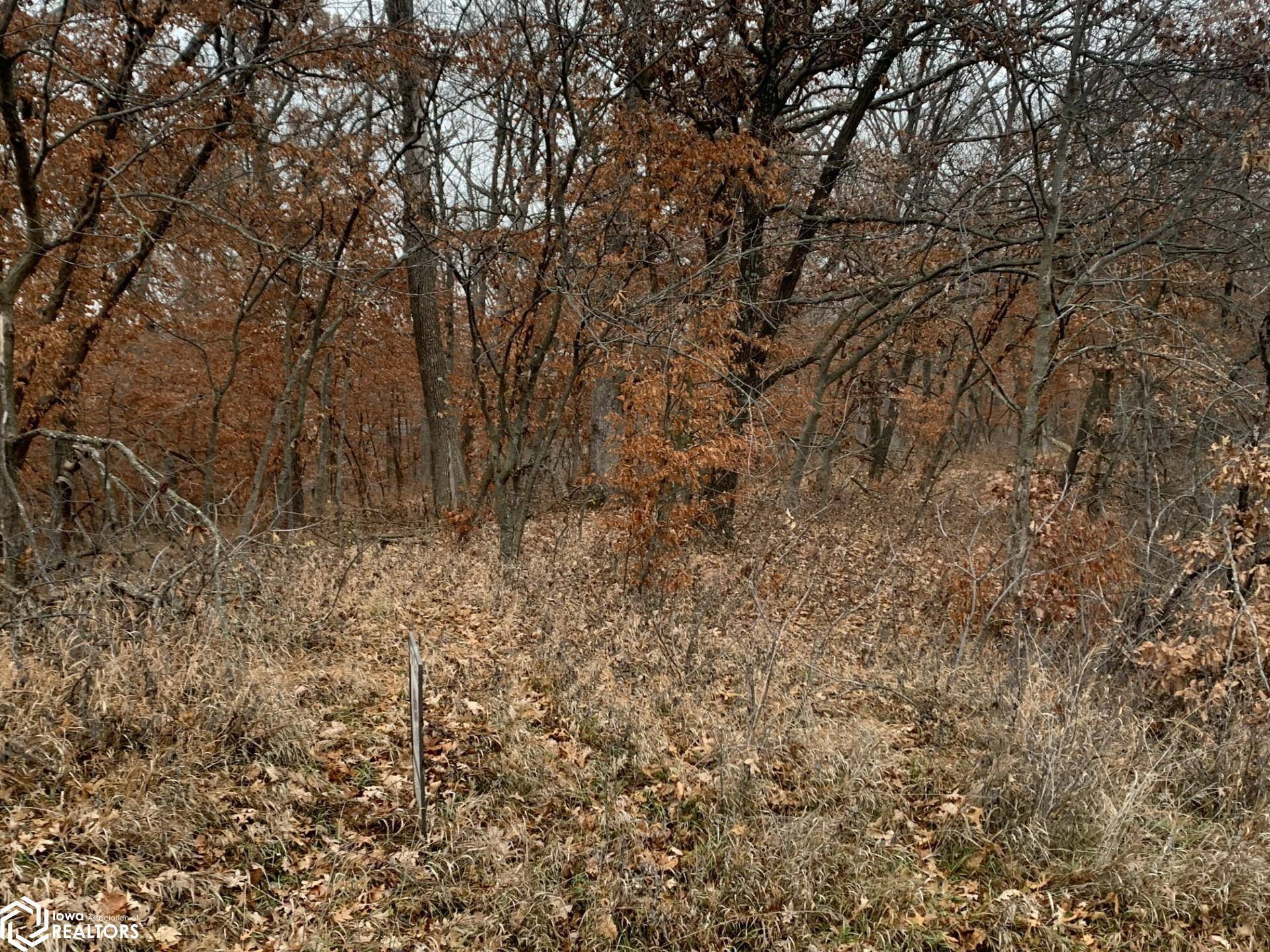 Grand River, IA 50108,Ridge Road