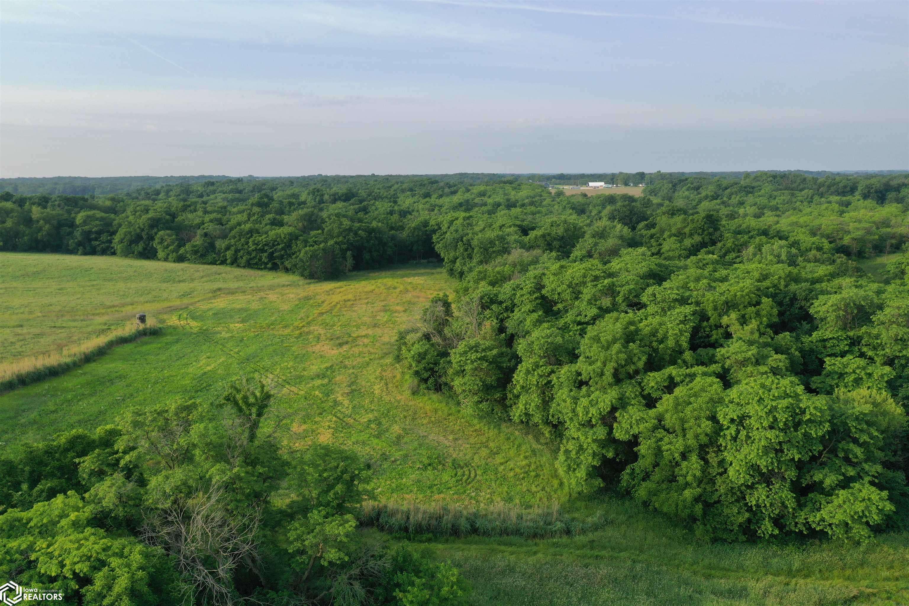 Fairfield, IA 52556,Pine Avenue