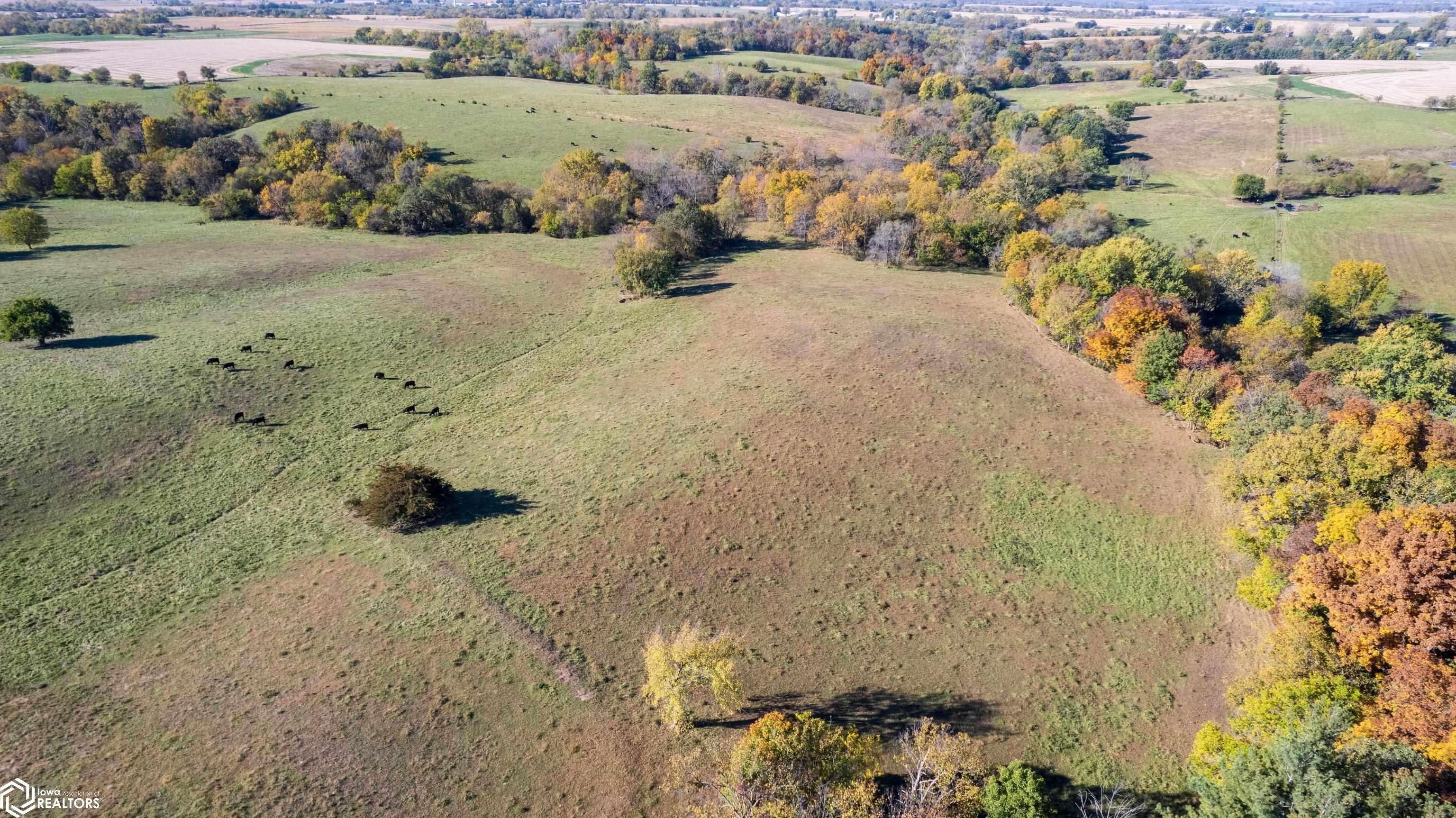 Columbia, IA 50057,Lucas County Line Road