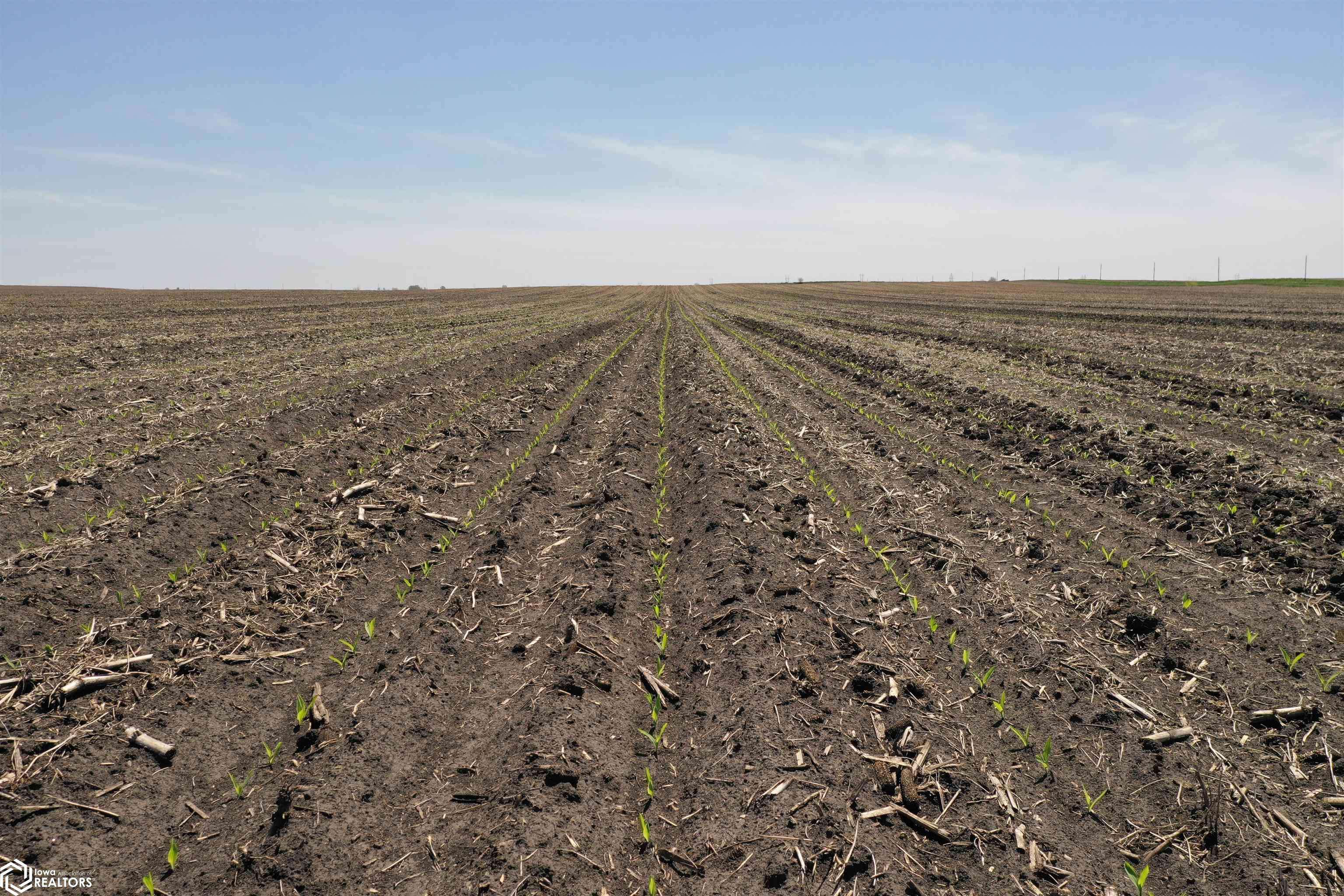 Rippey, IA 50235,County Highway E57