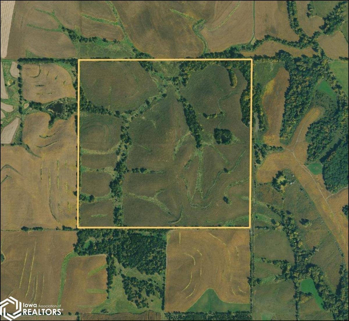 Diagonal, IA 50845,160th Ave