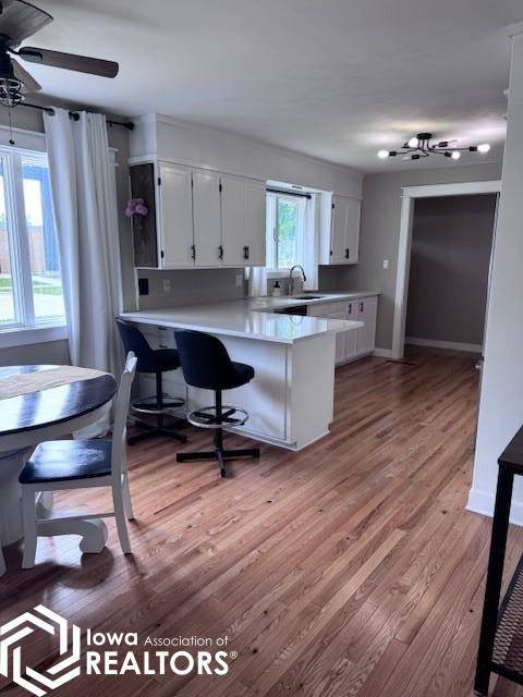 Algona, IA 50511,1203 N Mccoy St