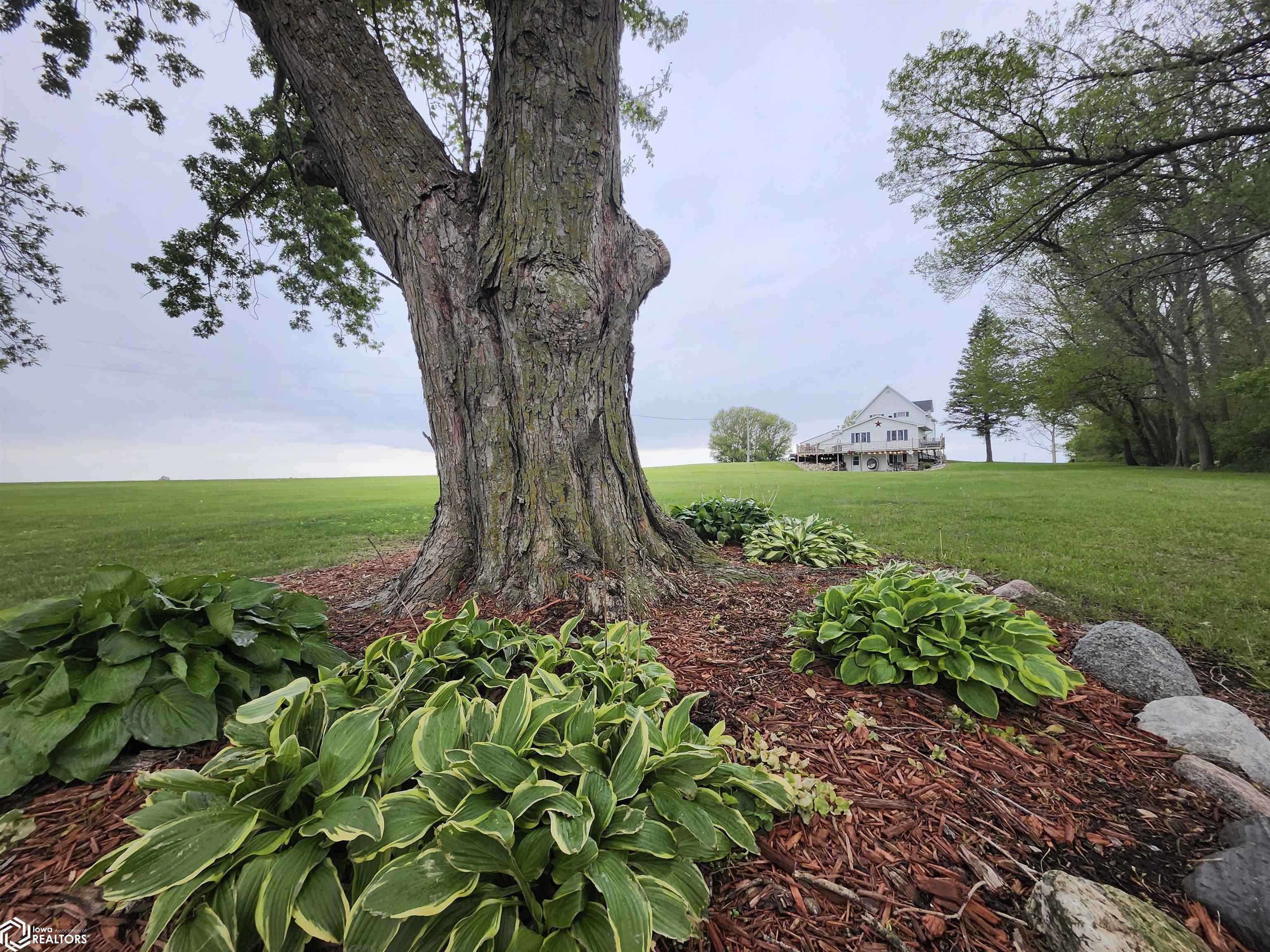 Garner, IA 50438,2245 Palm Ave